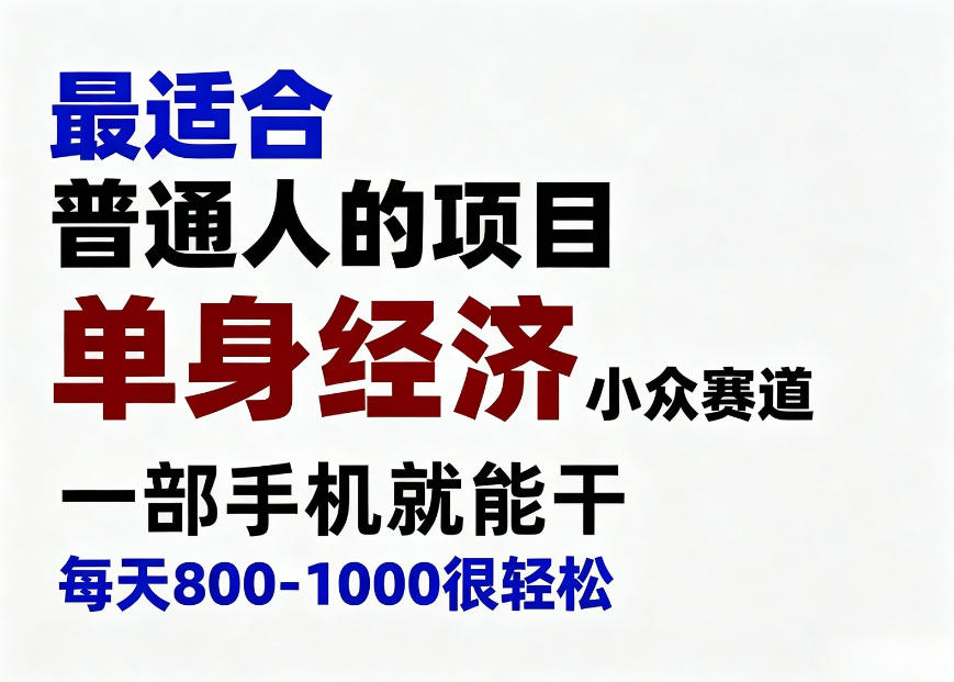 身经济小众赛道，一部手机就能干，每天搞个800-1000很轻松，最适合普通人的项目【揭秘】-万象聊项目