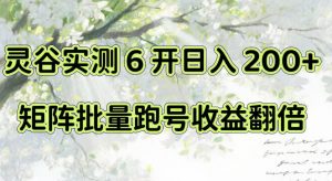 一台电脑就能做！灵谷实测6开日入200+，矩阵批量跑号收益翻倍【揭秘】-万象聊项目