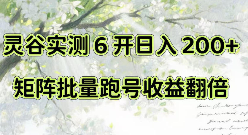 一台电脑就能做！灵谷实测6开日入200+，矩阵批量跑号收益翻倍【揭秘】-万象聊项目