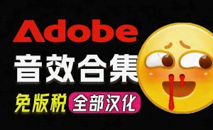 请称爆硬盘！Adobe 和 达芬奇 官方提供的高品质免版税音效库， 10000+ 免费商用音效合集，已离线打包-万象聊项目