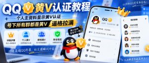 QQ黄V认证教程，个人主资料显示黄V认证，号下所有群都是黄V，逼格拉满-万象聊项目