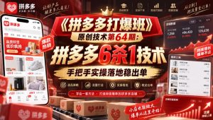 《拼多多打爆班》原创技术第64期:拼多多6杀1技术,手把手实操落地稳出单-万象聊项目