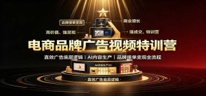 电商品牌广告视频特训：直效广告底层逻辑，AI内容生产，品牌接单变现全流程-万象聊项目