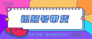 日入2000+的副业，视频号带货，一部手机改写人生篇章，无需投资-万象聊项目