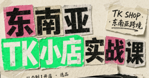 东南亚TK小店实战课(基础+进阶)-万象聊项目