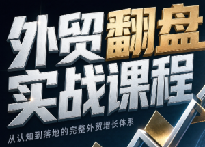 Alisa老师·外贸翻盘实战课程(更新部分)-万象聊项目