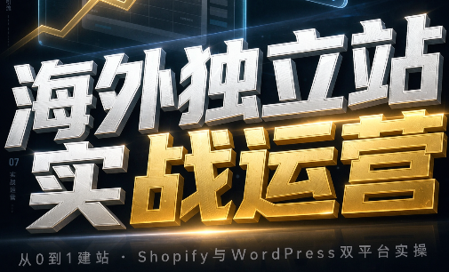 海外独立站实战运营-万象聊项目