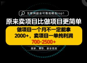 一单利润700-2.5K+，为什么我们要卖项目而不是做项目，我们普通人应该怎样开始？【揭秘】-万象聊项目