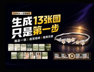 一张商品图，跑出13张电商图和15秒视频方案：这套Skill到底怎么工作？-万象聊项目