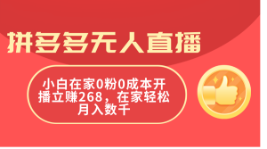 （11521期）拼多多无人直播，小白在家0粉0成本开播立赚268，在家轻松月入数千-万象聊项目