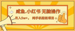 (11524期)2024最赚钱的项目,咸鱼,小红书无脑操作,每单利润500+,轻松月入5万+…-万象聊项目