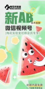 梅花实验室2024年AB技术视频号AB合成破解版-万象聊项目