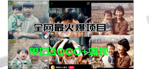 （11546期）全网爆火的AI让老照片动起来教程，蹭热点日赚3000+，内含免费工具一键…-万象聊项目