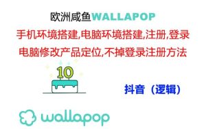 （11549期）wallapop整套详细闭环流程：最稳定封号率低的一个操作账号的办法-万象聊项目