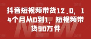 抖音短视频带货12.0，14个月从0到1，短视频带货90万件-万象聊项目