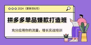 2024拼多多单品爆款打造班,充分应用你的流量,增长实战培训(更新6月)-万象聊项目