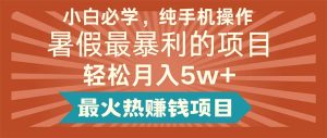（11583期）小白必学，纯手机操作，暑假最暴利的项目轻松月入5w+最火热赚钱项目-万象聊项目