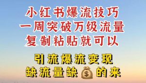 小红书爆流技巧,一周突破万级流量,复制粘贴就可以,引流爆流变现【揭秘】-万象聊项目