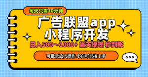 (11645期)小程序开发 广告赚钱 日入500~1000+ 小白轻松上手!-万象聊项目