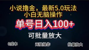 (11651期)全自动小说撸金,单号日入100+小白轻松上手,无脑操作-万象聊项目