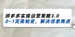(11658期)2024_2025拼多多实操运营策略3.0,0~1完美蜕变,解决信息焦虑(38节)-万象聊项目