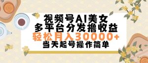 （11684期）视频号AI美女，轻松月入30000+,操作简单轻松上手-万象聊项目