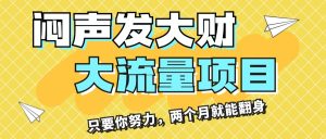 （11688期）闷声发大财，大流量项目，月收益过3万，只要你努力，两个月就能翻身-万象聊项目