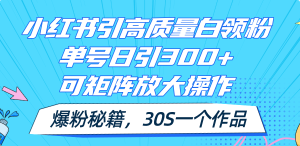 （11692期）小红书引高质量白领粉，单号日引300+，可放大操作，爆粉秘籍！30s一个作品-万象聊项目