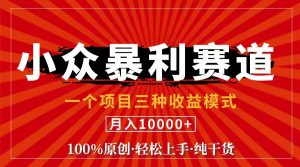 （11695期）视频号【中老年粉深信不疑】小众赛道 100%原创 手把手教学 新号3天收益…-万象聊项目