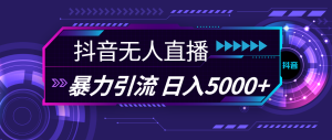 （11709期）抖音无人直播，暴利引流，日入5000+-万象聊项目