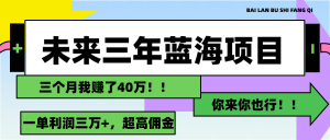 (11716期)未来三年,蓝海赛道,月入3万+-万象聊项目