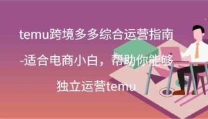 temu跨境多多综合运营指南-适合电商小白,帮助你能够独立运营temu(44节)-万象聊项目