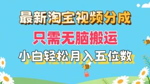 (11744期)最新淘宝视频分成,只需无脑搬运,小白也能轻松月入五位数,可矩阵批量…-万象聊项目