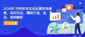 2024年7月拼多多实战运营现场课程,实时玩法,爆款打造,选品、规则解析-万象聊项目