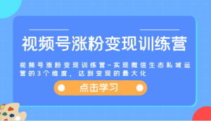 视频号涨粉变现训练营-实现微信生态私域运营的3个维度,达到变现的最大化-万象聊项目