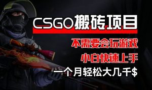 CSGO 装备搬砖项目，操作简单，不需要会玩游戏，小白也能快速上手，一个月轻松大几千【揭秘】-万象聊项目