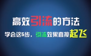 高效引流的方法，可以帮助你日引300+创业粉，一年轻松收入30万，比打工强太多！-万象聊项目