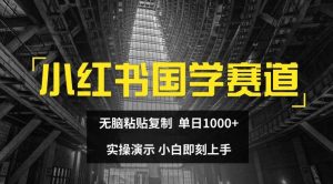 小红书国学赛道,无脑粘贴复制,单日1K,实操演示,小白即刻上手【揭秘】-万象聊项目