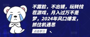 不露脸，不出镜，玩转找茬游戏，月入过万不是梦，2024年风口爆发，抓住机遇【揭秘】-万象聊项目