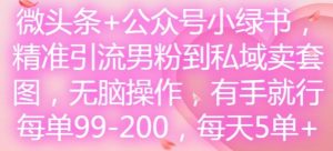 微头条+公众号小绿书,精准引流男粉到私域卖套图,无脑操作,有手就行,每单99-200,每天5单-万象聊项目