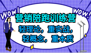 营销陪跑训练营,轻理论,重实战,轻概念,重本质,适合中小企业和初创企业的老板-万象聊项目