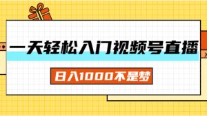 (11906期)一天入门视频号直播带货,日入1000不是梦-万象聊项目