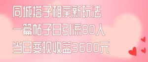 同城搭子相亲新玩法一篇帖子引流80人当日变现3600元(项目教程+实操教程)【揭秘】-万象聊项目