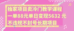 独家项目卖冷门教学课程一单88元单日变现5632元违规不封号长期项目【揭秘】-万象聊项目