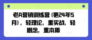 老A营销训练营(更24年7月),轻理论,重实战,轻概念,重本质-万象聊项目