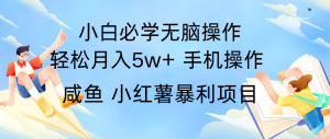 全网首发2024最暴利手机操作项目,简单无脑操作,每单利润最少500+-万象聊项目