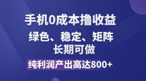 (11976期)纯利润高达800+,手机0成本撸羊毛,项目纯绿色,可稳定长期操作!-万象聊项目