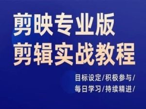 剪映专业版剪辑实战教程,目标设定/积极参与/每日学习/持续精进-万象聊项目