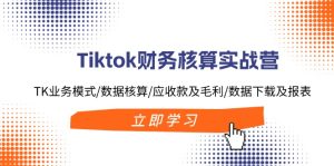 (11978期)Tiktok财务核算实战营:TK业务模式/数据核算/应收款及毛利/数据下载及报表-万象聊项目
