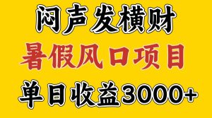 30天赚了7.5W 暑假风口项目,比较好学,2天左右上手-万象聊项目